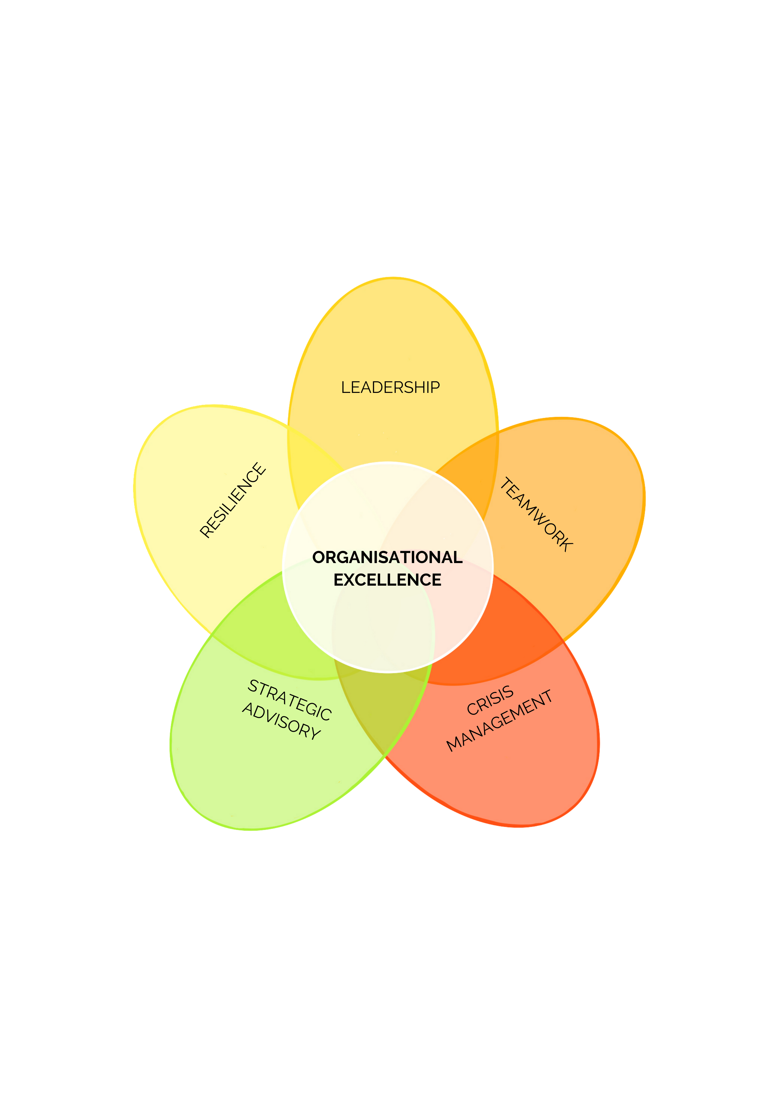 Mettle Global capability model